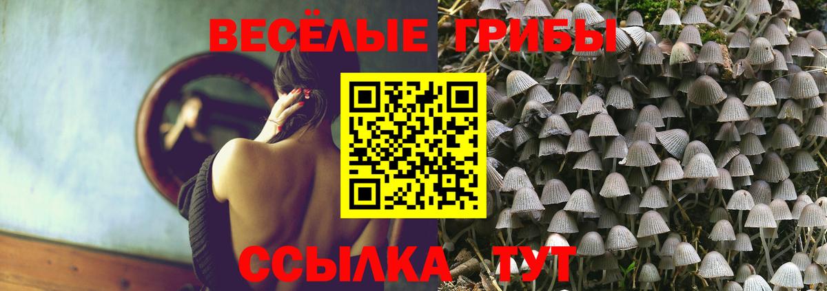 Псилоцибиновые грибы мухоморы Магнитогорск